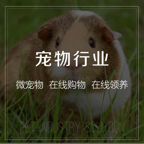 晋城宠物