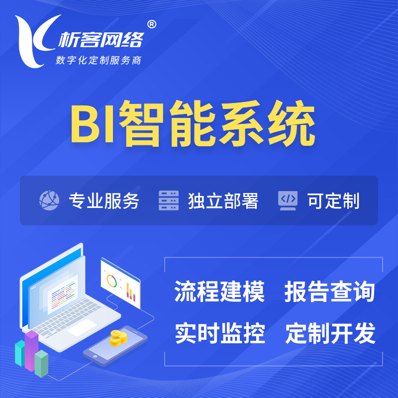晋城BI智能系统 | BI数据可视化